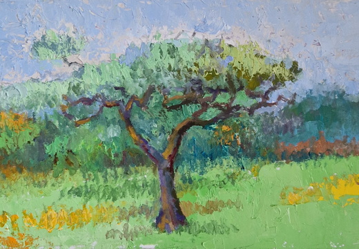 Olive Tree, Oil on Paper, 2023