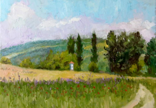 Path to Zdanice, 2016