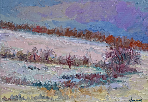 Winter Fields